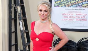 Nekdanji mož Britney Spears njuna sinova seli na Havaje