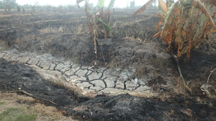 WMO na podlagi trenutnih podatkov ocenjuje, da obstaja izjemno velika možnost, da bo El Nino vztrajal do februarja 2027. | Foto: Shutterstock