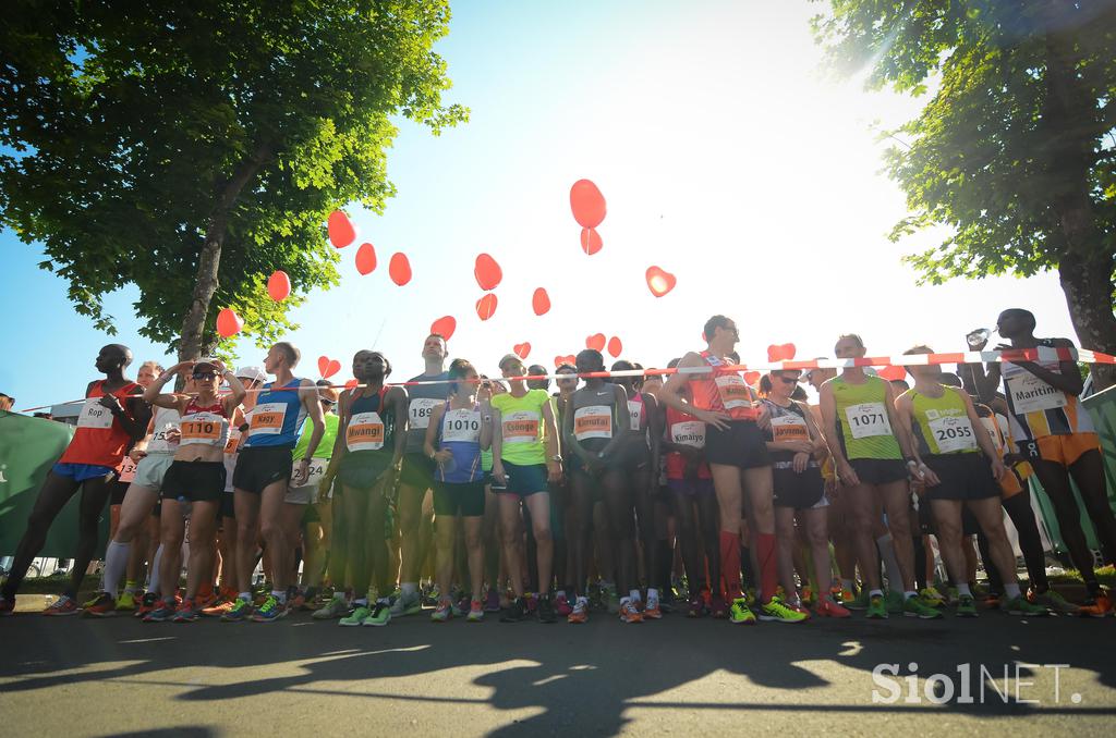 Radenci 2016