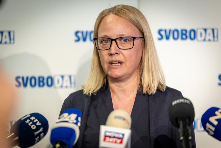 "V tej vladi in koaliciji smo sprejeli vrsto zakonov, ki se jih nihče ni upal dotakniti in so ostali v predalu," je dejala poslanka Tamara Kozlovič.  | Foto: Gaja Hanuna