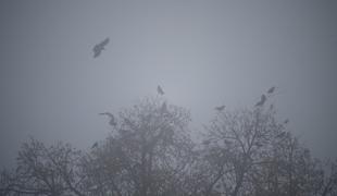 Znano je, kakšno vreme nas čaka v prihodnjih dneh