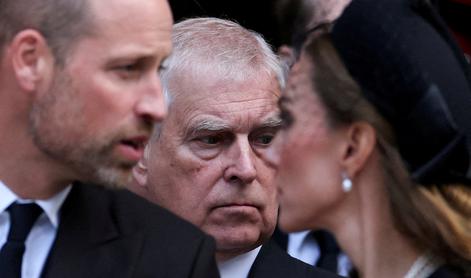 Leden odnos princev Williama in Andrewa