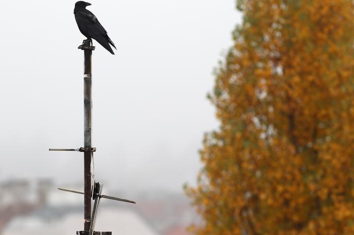 radio antena frekvence | Sprožili so upravni spor in zaradi močno izražene volje in želje prebivalcev Bohinja začeli oddajati s predpisano frekvenco in močjo z druge oddajne točke. | Foto Reuters