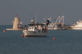 Hrvaških veteranov jutri ne bo v Piranski zaliv #video