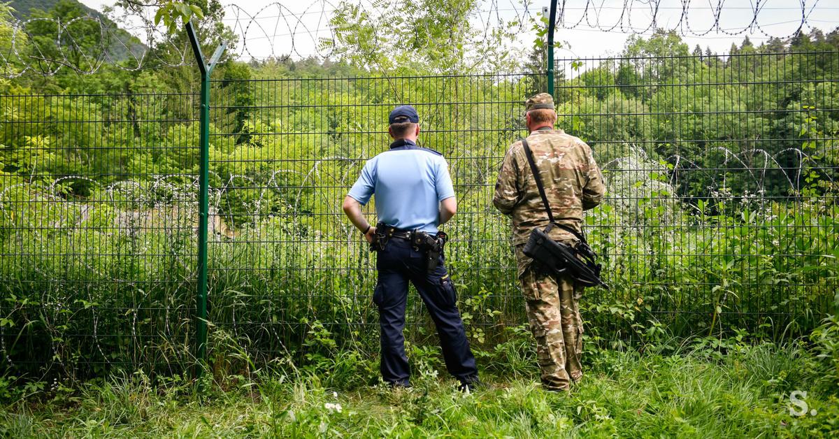 ed5bb71f1fa64028998b-mesane-patrulje-pol