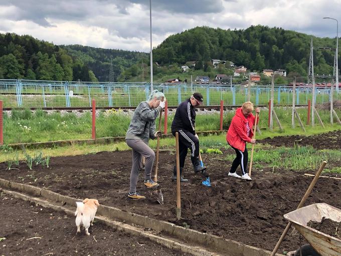 Če je treba, pomagajo tudi na vrtu.  | Foto: Udarnik MC Velenje