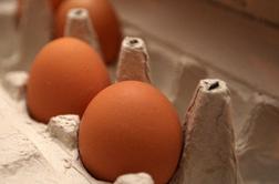 Zaradi evropskih predpisov močno narasle cene jajc v Bolgariji