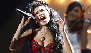 Oropali dom Amy Winehouse