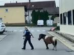 poni, policija, Grusuplje