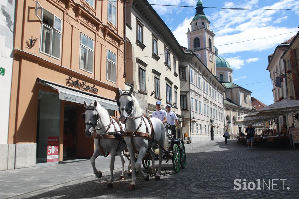 konji lipicanci ljubljana