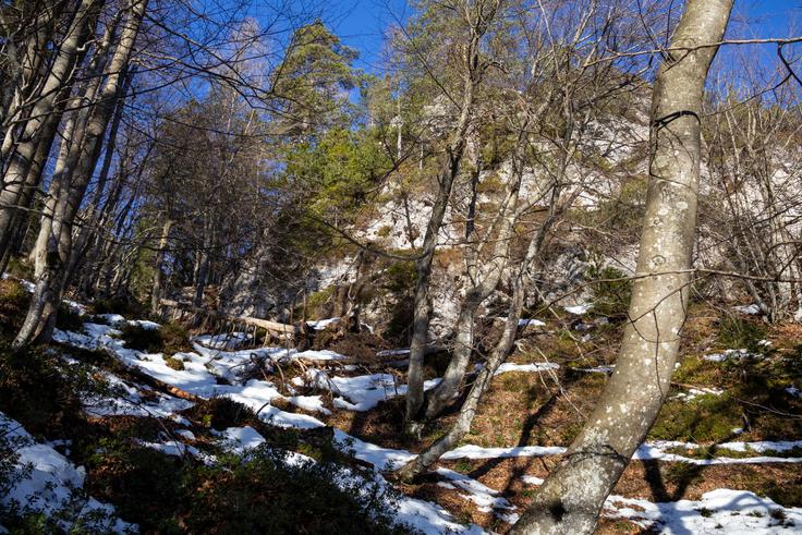 Vsaj za uro hoje je pobočje precej strmo. | Foto: Matej Podgoršek