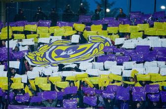 Brez Ljudskega vrta bi lahko pozabili na ''tisočico''