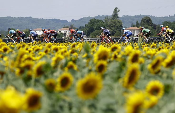 Dirka po Franciji | Foto: Reuters