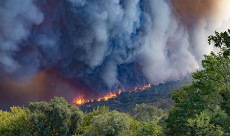 Razglašena velika požarna ogroženost, temperature blizu rekorda