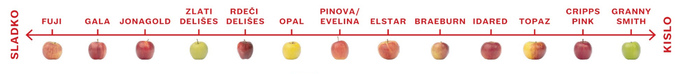 Vsa jabolka, ki so v ponudbi v trgovinah Spar in Interspar, so pridena v Sloveniji. | Foto: Evrosad | Foto: 