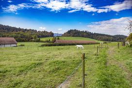 Pedagoško raziskovalni center za konjerejo Krumperk