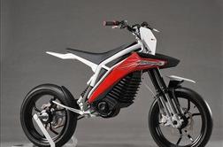 Husqvarna concept E-go