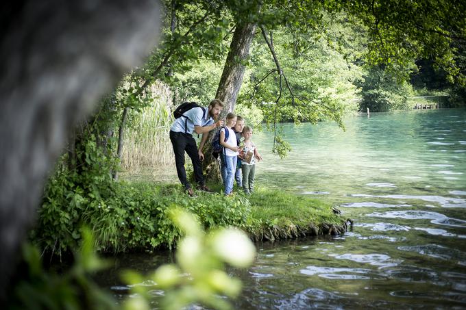 Slovenske železnice | Foto: Ana Kovač