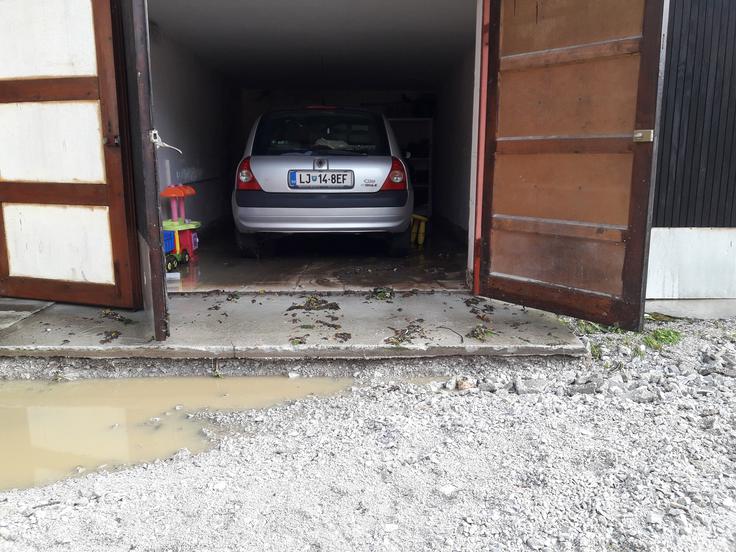 Kisovec | Foto: Mojca Kamnik