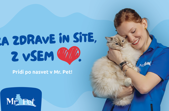 Je vaša mačka predebela?