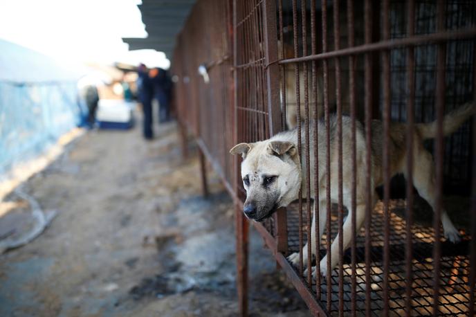 psi | Foto Reuters