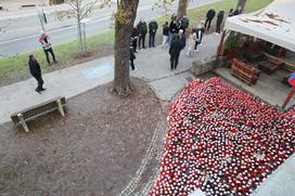 Protestni shod Novo mesto