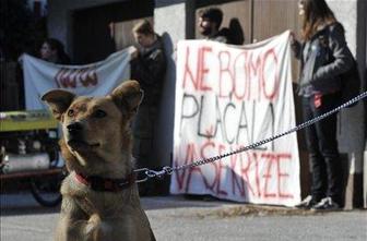 Nevidni delavci: Lotevate se posledic, ne vzrokov