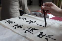 Tudi v Ljubljani vstopili v kitajsko leto zmaja