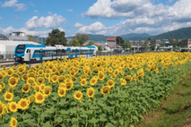 Slovenske železnice