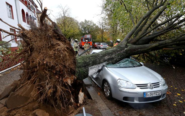 Nemčija veter | Foto: Reuters