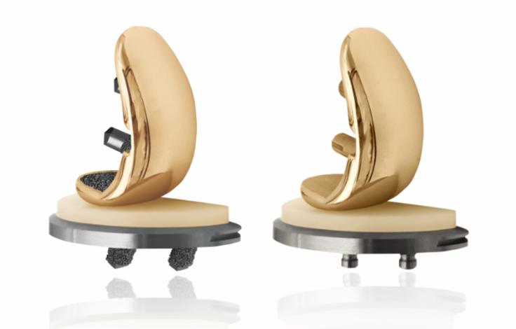 arbor mea | Foto: Permedica Orthopaedics