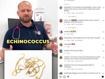 Veterinar Matej Zupanc svari pred pasjimi poljubčki: lahko so zelo zelo nevarni