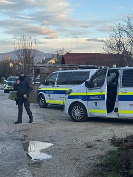 Novo mesto, policija, varnost