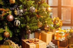 Naravno ali plastično: katero je okolju prijaznejše?