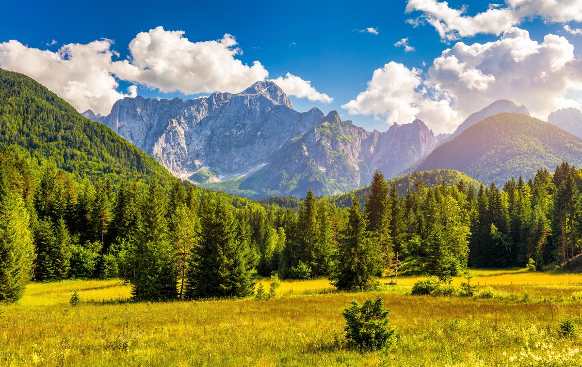Slovenija | Ste skrivnostnega popotnika videli tudi v vašem kraju? | Foto Shutterstock