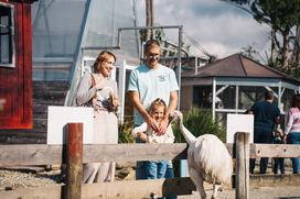 marolt zoo land mcdonalds