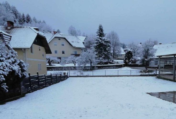 Sneg Sneg v Spodnjih Gorjah pri Bledu. | Foto: Meteoinfo