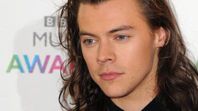 Harryju Stylesu ponudili vlogo v vojnem filmu