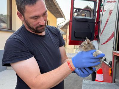 Gasilci odgovarjajo kritikom: Pomagali bomo človeku ali živali, ker je to naše poslanstvo