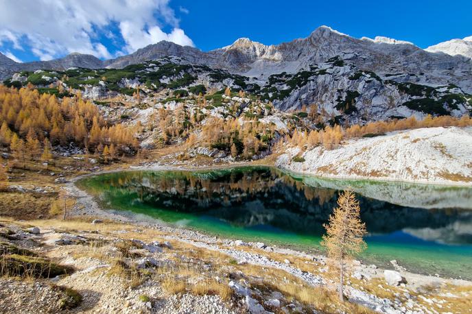 iz Savice do Ledvice zlati macesni | Zlati macesni in jezero v Ledvici pod grebenom Lepega Špičja | Foto Matej Podgoršek
