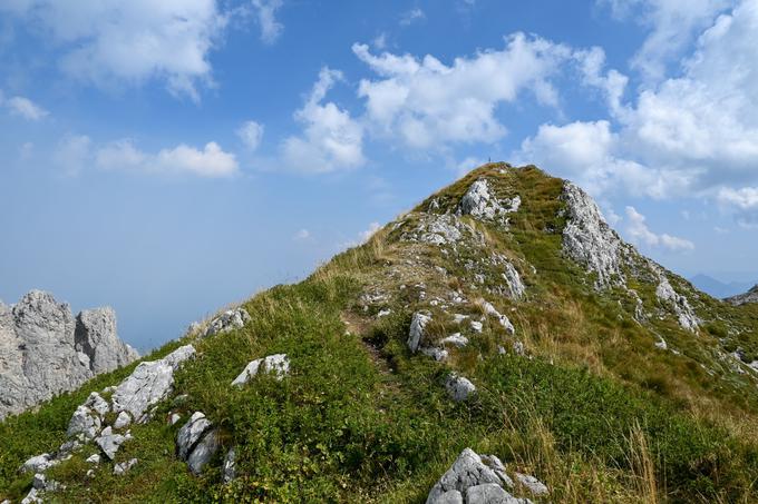 Južni vrh Krniških skal | Foto: Matej Podgoršek