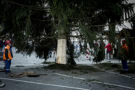 Novoletna smreka v Ljubljani Prešernov trg