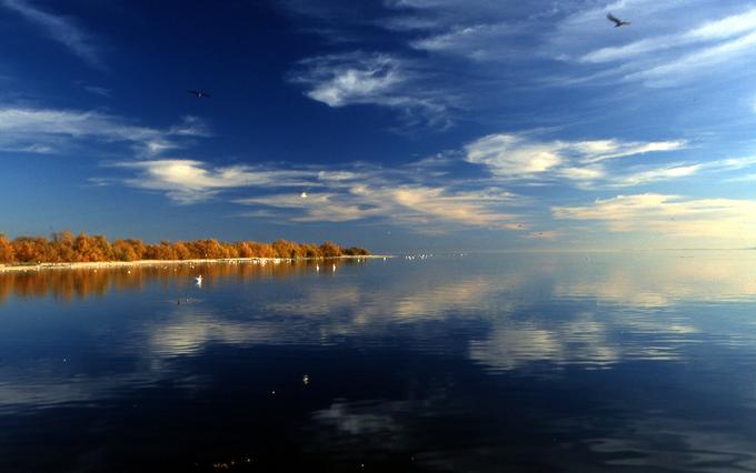 Salton sea | Foto: Thomas Hilmes/Wikimedia Commons