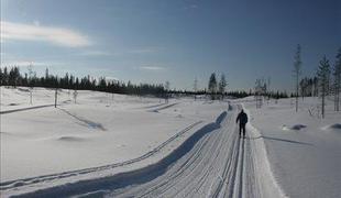 3. dan: Finska Pokljuka in severni sij