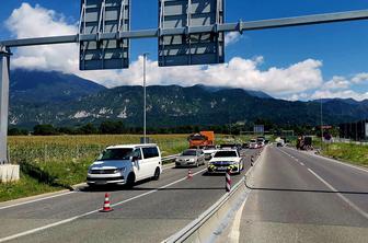 Pozor, srne na štajerski avtocesti