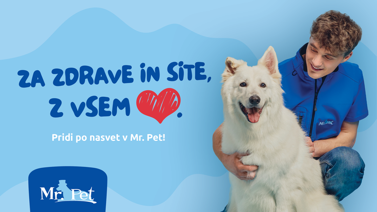Mr.Pet - Pes | Foto: Mr. Pet