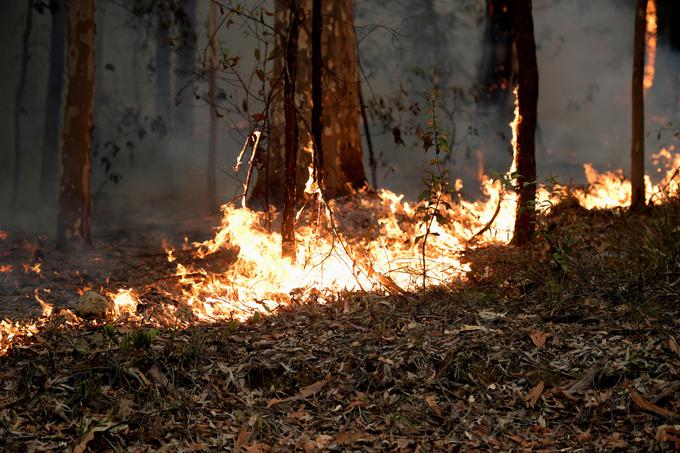 Obsežni požari v Avstraliji so od lanskega septembra zahtevali že najmanj 27 smrtnih žrtev. | Foto: Reuters