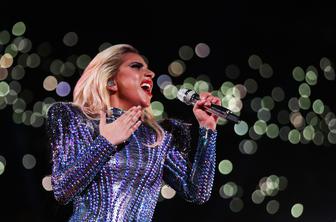 Lady Gaga bo imela svojo linijo vin in vinskih koktajlov