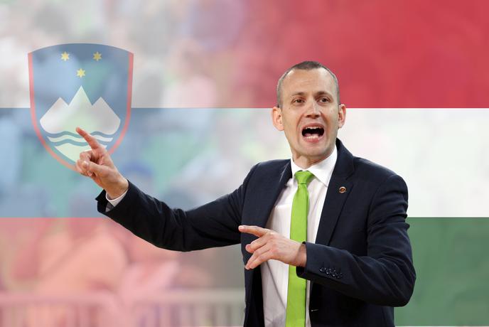 Gašper Potočnik je novi trener LTH Castingsa
