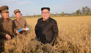Trump o Kimu: Nikoli mu ne bi rekel, da je majhen in debel